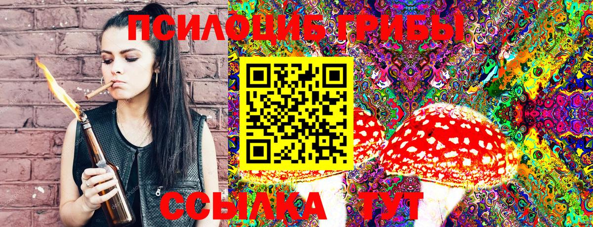 Псилоцибиновые грибы прущие грибы Москва