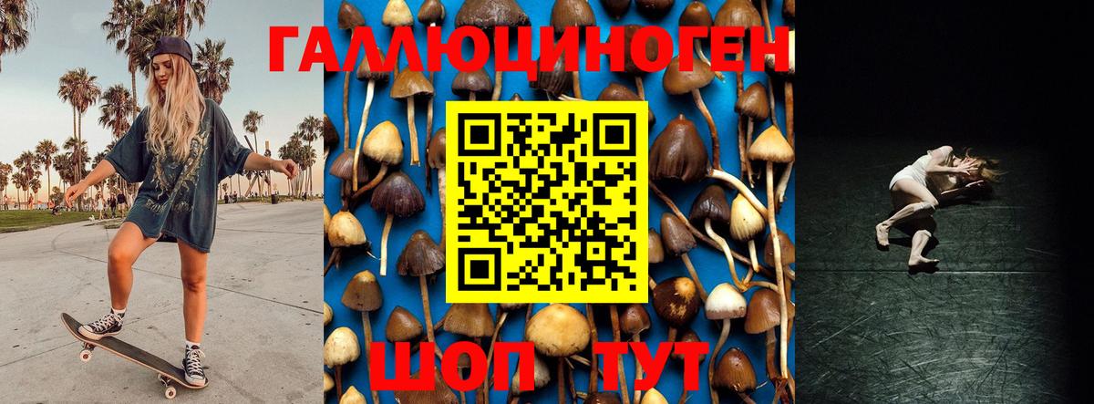 Москва  Псилоцибиновые грибы ЛСД  Вход с VPN  Псилоцибиновые грибы мицелий 